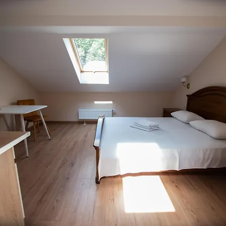 Apart Yaroslava Osmomysla 9 Square - City Center Lviv Room photo
